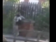 Seks me të dashurën para shtëpisë, kërcënon me thikë fqinjin pse e pa (Video)