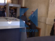 Haradinaj i ashpër me sigurimin e parlamentit, hyn me forcë në Kuvend (VIDEO)