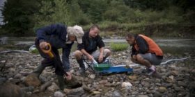 Bullgarët kaplohen nga ethet e arit (FOTO)