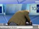I ftuari i rras llapën “live” gazetares (Video)
