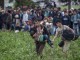 Bild: Në Gjermani pritet të vijnë deri në 1.5 milion migrantë më 2015