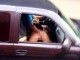 Shoferi kapet mat gjatë aktit seksual me bjonden (Foto +18)