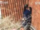 Filmohen duke bërë seks në Qytetin e Ndaluar (Video+18)