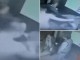 Masturbohet pas një gruaje, por shikoni si e pëson perversi/ VIDEO
