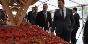 Krasniqi: Bujqësia, ndër sektorët më përfitues nga MSA-ja