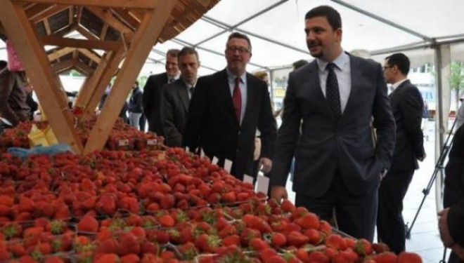 Krasniqi: Bujqësia, ndër sektorët më përfitues nga MSA-ja