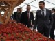 Krasniqi: Bujqësia, ndër sektorët më përfitues nga MSA-ja