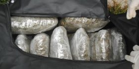 Itali, sekuestrohen rreth 4 ton marijuanë; në pranga 9 shqiptarë