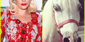 Çfarë dhurate pranon Lady Gaga për pushime