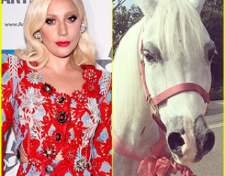 Çfarë dhurate pranon Lady Gaga për pushime
