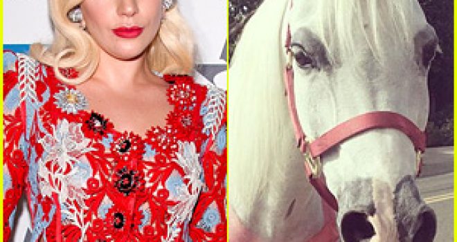 Çfarë dhurate pranon Lady Gaga për pushime