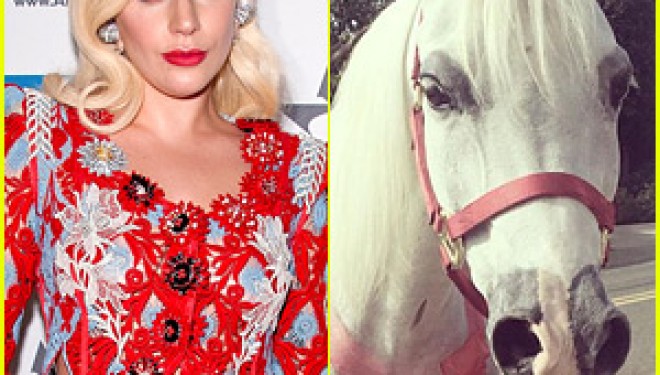 Çfarë dhurate pranon Lady Gaga për pushime