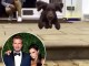 Një tjetër antar i familjës Beckham bëhet me instagram