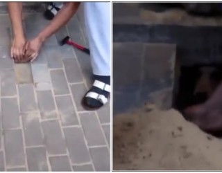 Dëgjon diçka nën trotuar, çfarë gjen aty është krejtësisht e pabesueshme (Video)