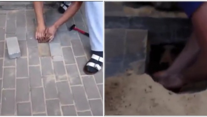 Dëgjon diçka nën trotuar, çfarë gjen aty është krejtësisht e pabesueshme (Video)