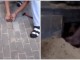Dëgjon diçka nën trotuar, çfarë gjen aty është krejtësisht e pabesueshme (Video)
