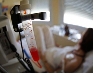 Shokuese! Njerëzit nuk vdesin nga kanceri por nga kimioterapia (Foto)
