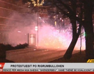 Persona të mitur, pjesëmarrës në protestë