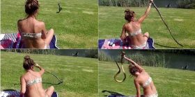 E sulmon kobra, ajo e kapë për koke (Video)