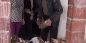 Skamja rrezikon jetën e fëmijëve të familjes Aliu (Video)