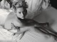 Charlize Theron pozon nudo për revistën “W magazine” (Foto)