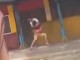 Video e tmerrshme, merr peng një grua dhe e godet me thikë