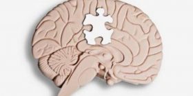 Autizmi, pasojë e infeksionit viral gjatë shtatzënësisë?
