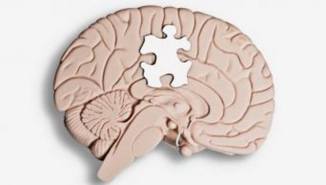 Autizmi, pasojë e infeksionit viral gjatë shtatzënësisë?