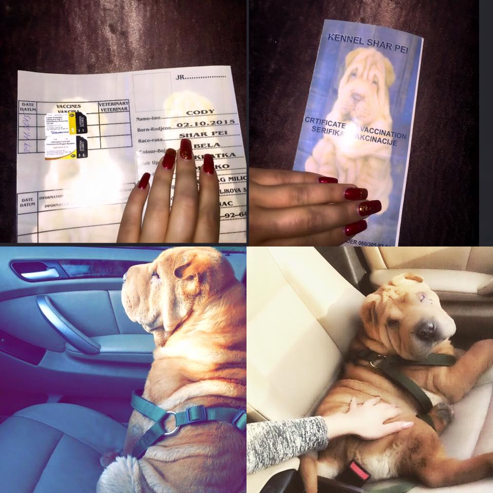 12809630-1786287224932438-5504442106792263528-n