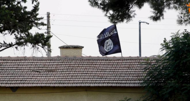 IS-i, larg nga të qenët i vdekur