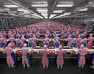 Prodhuesi për Apple zëvendëson 60.000 punëtorë me robotë (Foto)