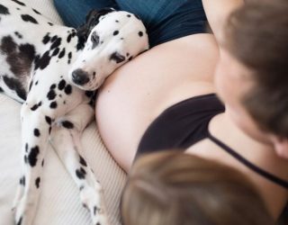 Dashuri jo vetëm për të zotin, por edhe për foshnjën (Foto)