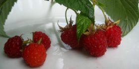 Dieta me mjedra, për tri ditë, 2 kg më pak