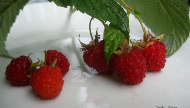Dieta me mjedra, për tri ditë, 2 kg më pak