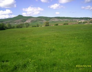 (Mos)privatizimi i pronave në komunat serbe