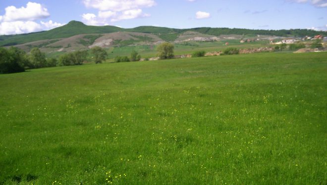 Dikur preferonin qytetet, tani fshatrat bëhen atraktive