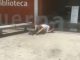 Seks përpara universitetit (VIDEO, +18)