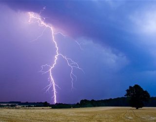 Rrufeja e vret bariun në Dragash (Foto)