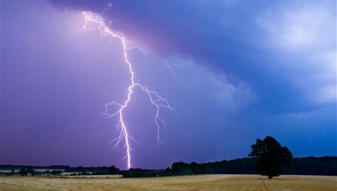 Rrufeja e vret bariun në Dragash (Foto)