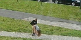 Ja që romanca nuk ka vdekur: Çifti bën seks në mes të rrugës