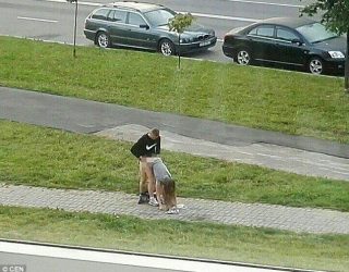 Ja që romanca nuk ka vdekur: Çifti bën seks në mes të rrugës