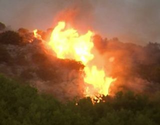 Zjarri në Shëngjin, era krijon vatra të reja; flakët pranë Lezhës
