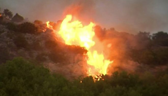 Zjarri në Shëngjin, era krijon vatra të reja; flakët pranë Lezhës
