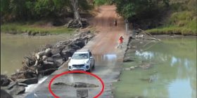 Kur krokodili bllokon trafikun…
