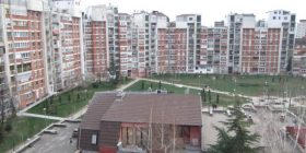 Rrëzohet dega e lisit në Dardani, bllokohet rruga (Foto)