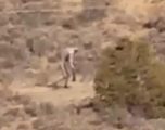 Krijesa misterioze në Portugali (VIDEO)
