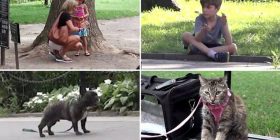 Nëse lihen vetëm në park cilin do të shpëtonin të parin?