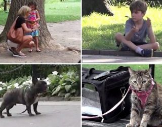 Nëse lihen vetëm në park cilin do të shpëtonin të parin?