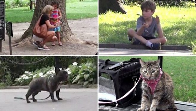 Nëse lihen vetëm në park cilin do të shpëtonin të parin?