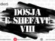 Dosja e Shefave VIII: Nga një telefonatë emerohet Kryetari i Gjykatës së Apelit (Video)